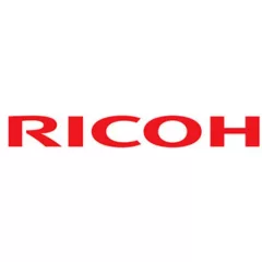 RI B044 4961 One way clutch Afi1013