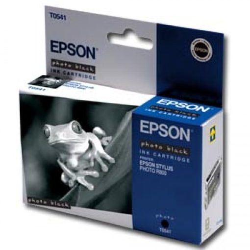 Epson T0541 Eredeti Fekete Tintapatron