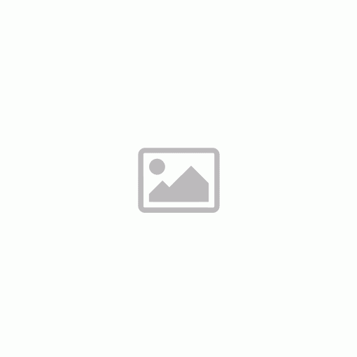 CA FM1-P580 ADF sepaartion pad MF429
