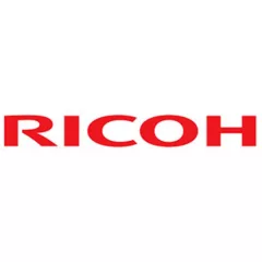 RI M052 4241 Thermistor SP5200