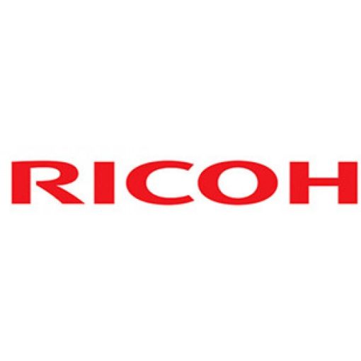 Ricoh SP4520DN Fuser unit (Eredeti)