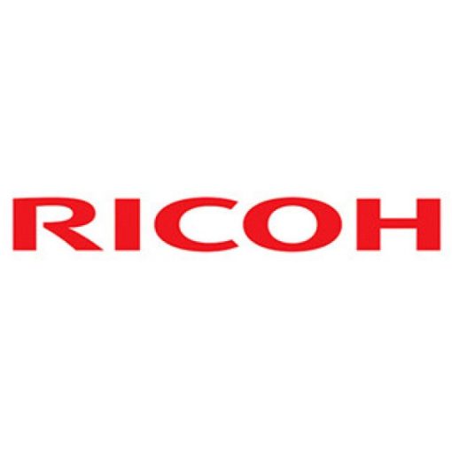 RI AA01 2080 Filter