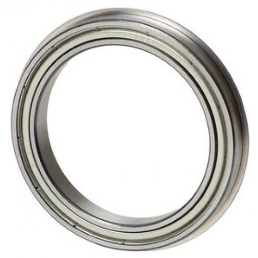 RI AE03 0054 ball bearing