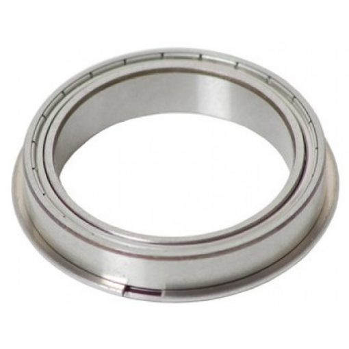 RI AE03 0066 Bearing