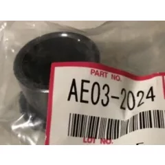 RI AE03 2024 Bushing