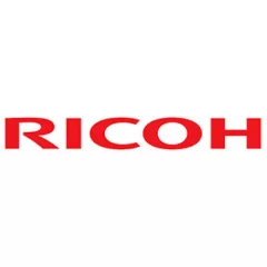 RI C238 3556 Torque limiter